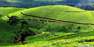 Ooty